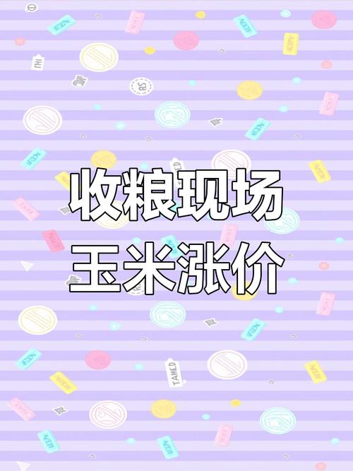 期货晚籼稻_玉米淀粉供需分析_玉米期货价格走势