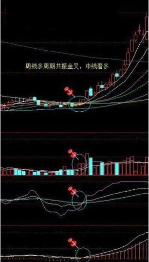 股票投资风险与回报_10周线选股指标_股票投资精彩之处
