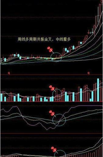 股票投资风险与回报_10周线选股指标_股票投资精彩之处