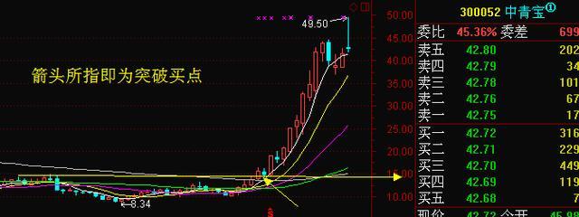 股票投资精彩之处_10周线选股指标_股票投资风险与回报