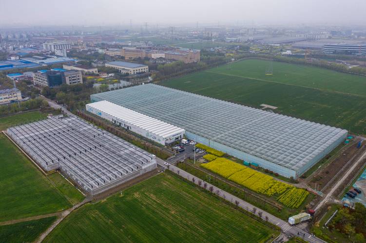 浙江农民收入高原因_浙江省农业产业结构调整_浙江农民低调但有钱