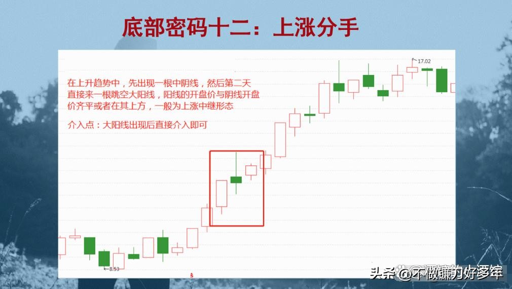 亏损到盈利的炒股过程_新股民炒股三阶段_股票市场上常常被提到的