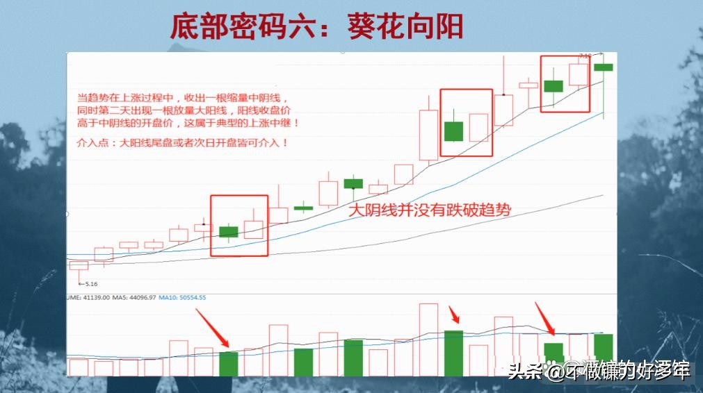 股票市场上常常被提到的_亏损到盈利的炒股过程_新股民炒股三阶段