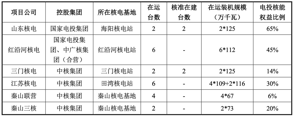 国电投核电资产重组_电投产融注入核电站资产_国电阳光煤炭交易平台