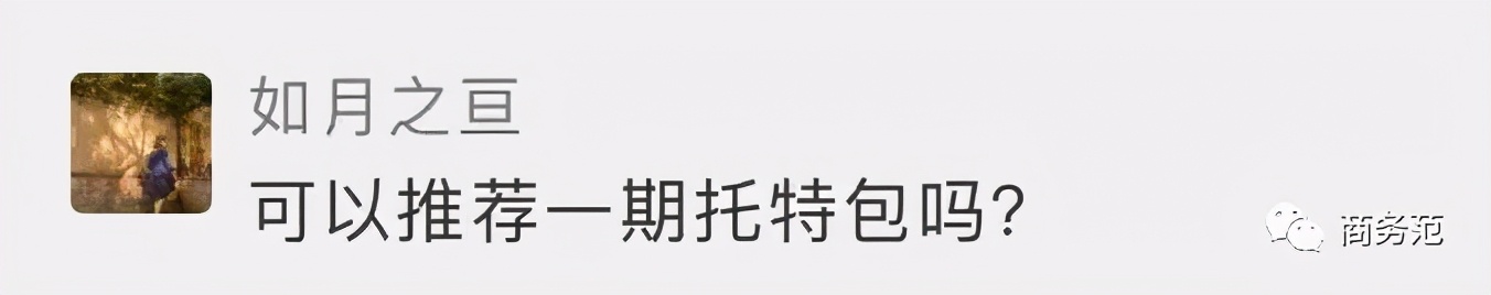 职场必备托特包款式_手提电脑包包的价格_女精英托特包推荐