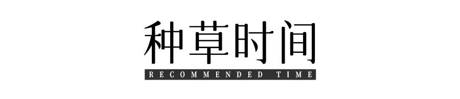 手提电脑包包的价格_帆布包学生通勤款_帆布包大容量推荐