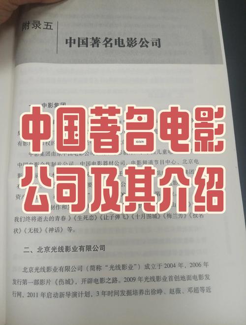 影视公司多元化布局_影视制作公司营收排行_明年零元赚钱的好项目