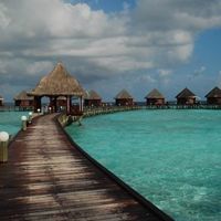 美的MG60-1203E滚筒洗衣机_美的mg60-1203e(s)_美的乐尚系列洗衣机参数