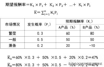 企业投融资决策 风险价值观念 长期借款资本成本率_债券 溢价发行