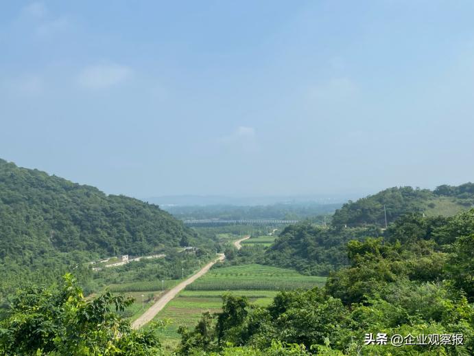 国有企业改革深化提升行动_9月19日中国建材报 走出去战略_中国建材科技创新产业创新