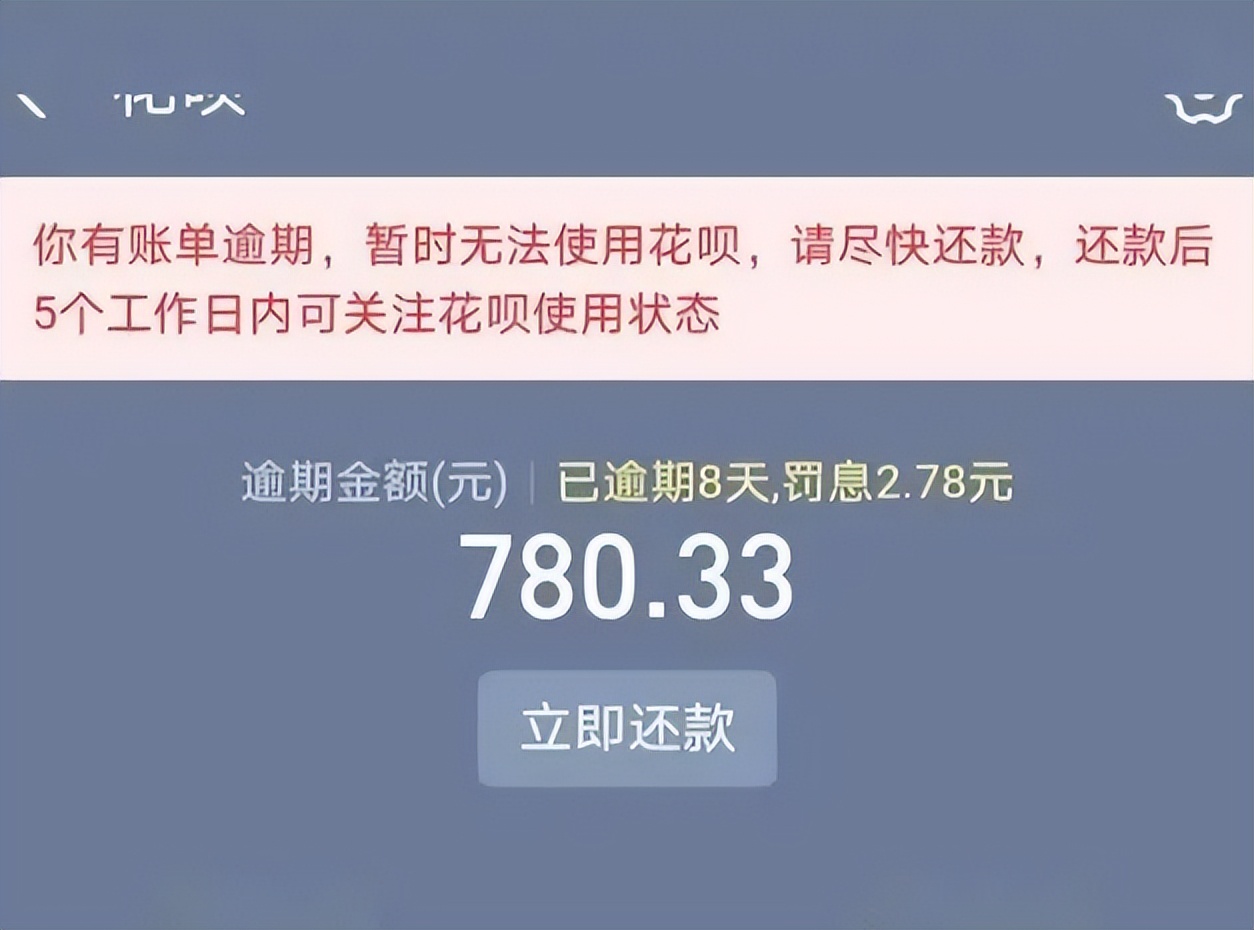 不能花呗支付只能花呗分期_花呗用户逃避债务后果_花呗逾期记录影响