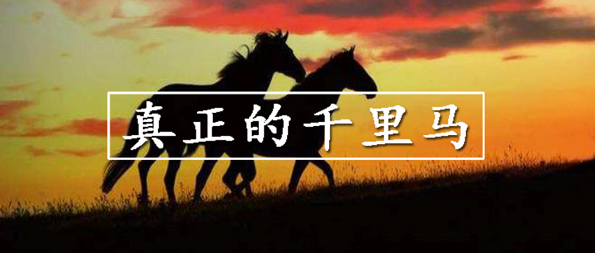 长期投资股有哪些_股票的长期投资_长期投资包括长期股权投资吗