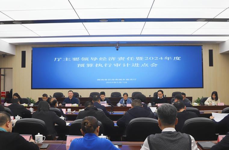 江汉区审计局经济责任审计民生保障_经济责任审计进场会_江汉区审计局民生政策落实监督