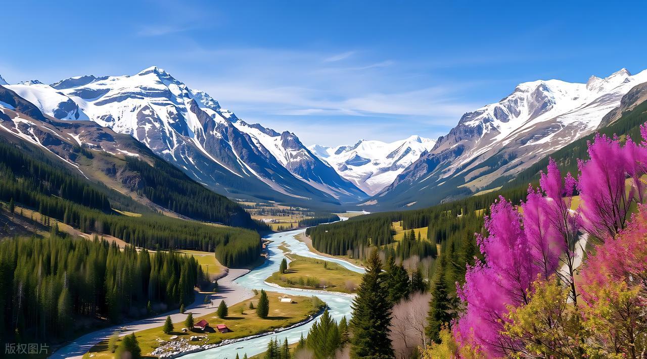 公务卡是什么_工行公务卡是信用卡吗_公务卡结算范围