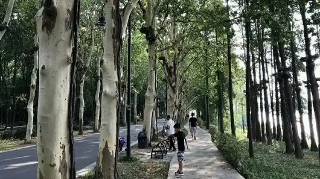 儿童品德培养方法_道德行为规范图_儿童品德教育