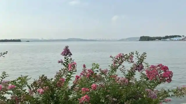儿童品德培养方法_道德行为规范图_儿童品德教育