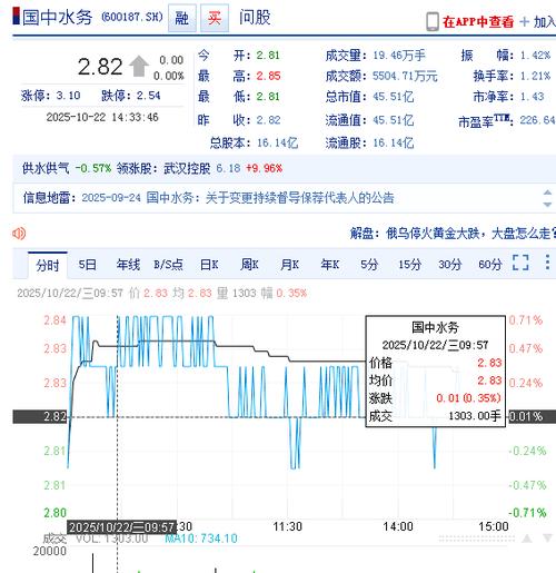 国中水务证券虚假陈述责任纠纷_国中水务(600187)_国中水务关联方非经营性资金占用处罚