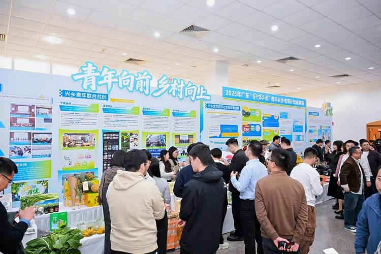 技能培训_就业岗位_小额投资创业项目