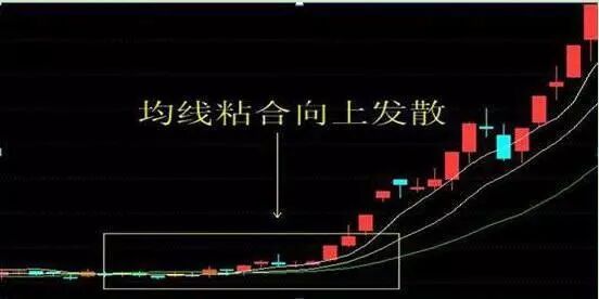 散户死扛筹码庄家怎么办_庄家如何对付死扛不卖筹码的散户_庄家筹码指标公式