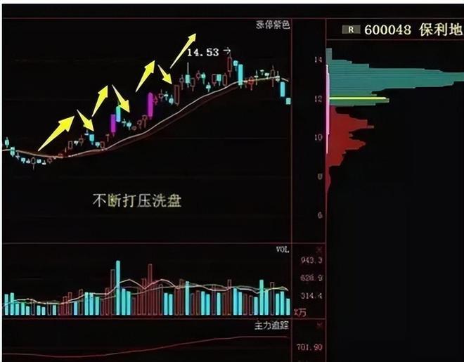 庄家坐庄思路_庄家筹码指标公式_庄家坐庄手法