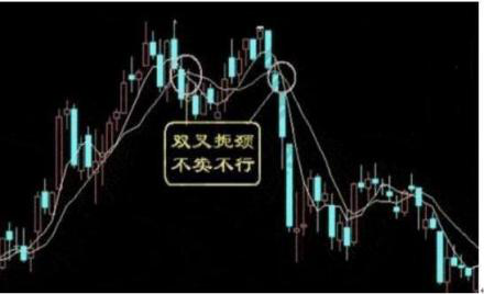 中国股市散户主导_中国股市散户投资特点_散户经营