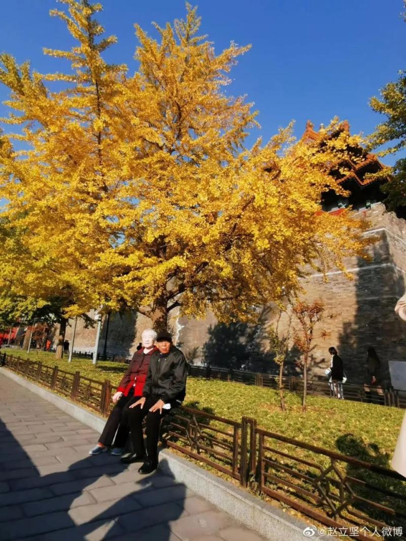 大盘鸡图片_大盘鸡图片高清大图_大盘鸡图片真实