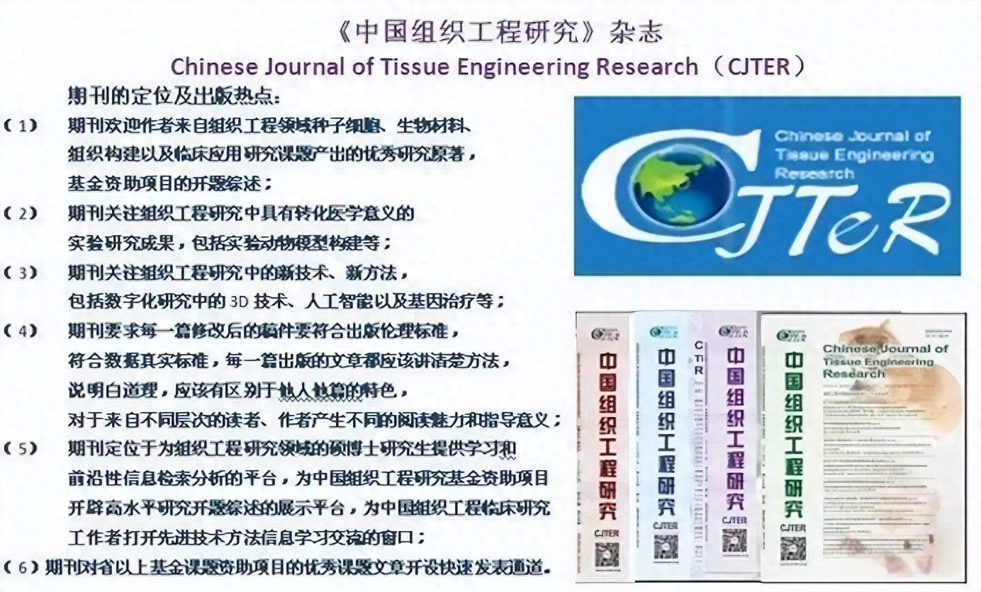 纳米纤维素 聚多巴胺 复合管_纳米材料 生物医学应用_200093