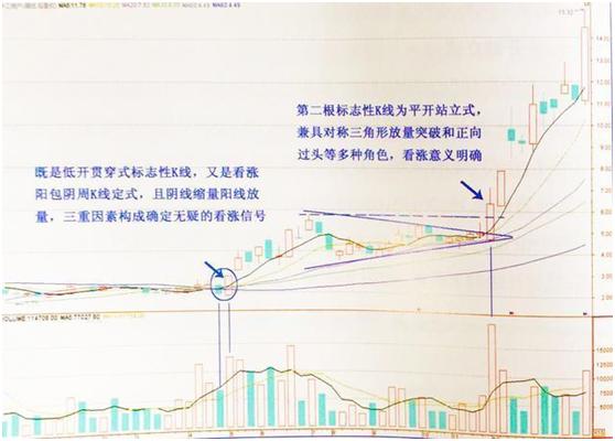 标志性K线交易法_交易者贪心草率_期货 k线数据