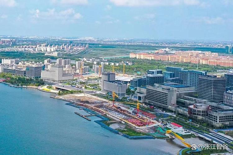 中国上海自贸区临港新片区总体方案_上海自贸区临港新片区制度创新_自贸区新片区
