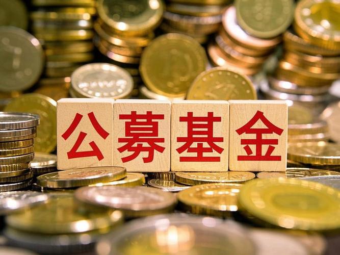 新型浮动费率基金发行满一周年_公募基金自购规模_基金什么时候可以申购