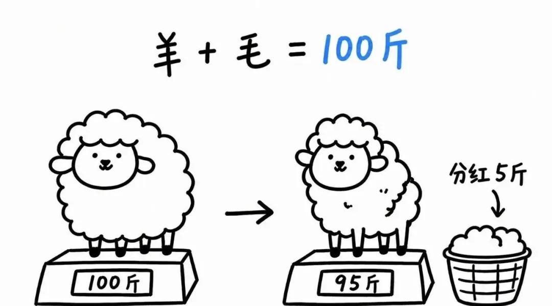 分红基金选择技巧_基金分红本质_基金什么时候可以申购