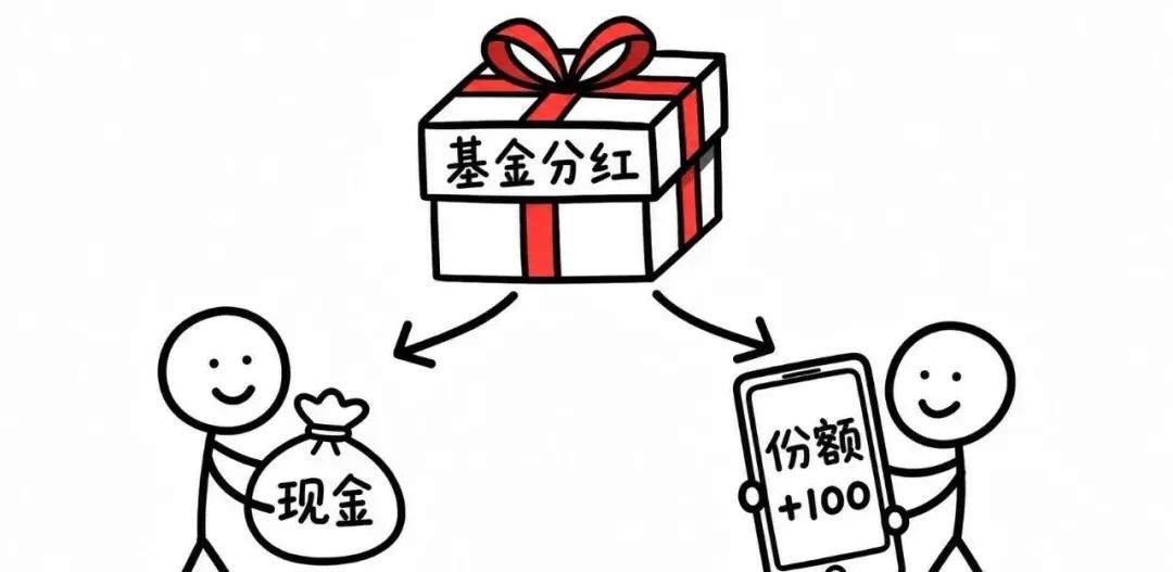 基金分红本质_分红基金选择技巧_基金什么时候可以申购